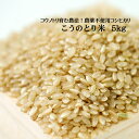 こうのとり米（5kg）白米 玄米 農薬不使用 コウノトリ育む農法 有機肥料 特別栽培 令和2年産 兵庫県産 コシヒカリ