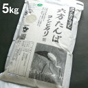 こうのとり米 白米（5kg）六方たんぼのコシヒカリ コウノトリ育む農法 令和5年産 兵庫県産 送料無料 2