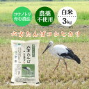 新米 お米 3kg 白米 農家直送 農薬不使用 六方たんぼのコシヒカリ コウノトリ育む農法 令和7年産 兵庫県産 送料無料
