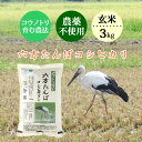 新米 お米 3kg 玄米 農家直送 農薬不使用 六方たんぼのコシヒカリ コウノトリ育む農法 令和7年産 兵庫県産 送料無料