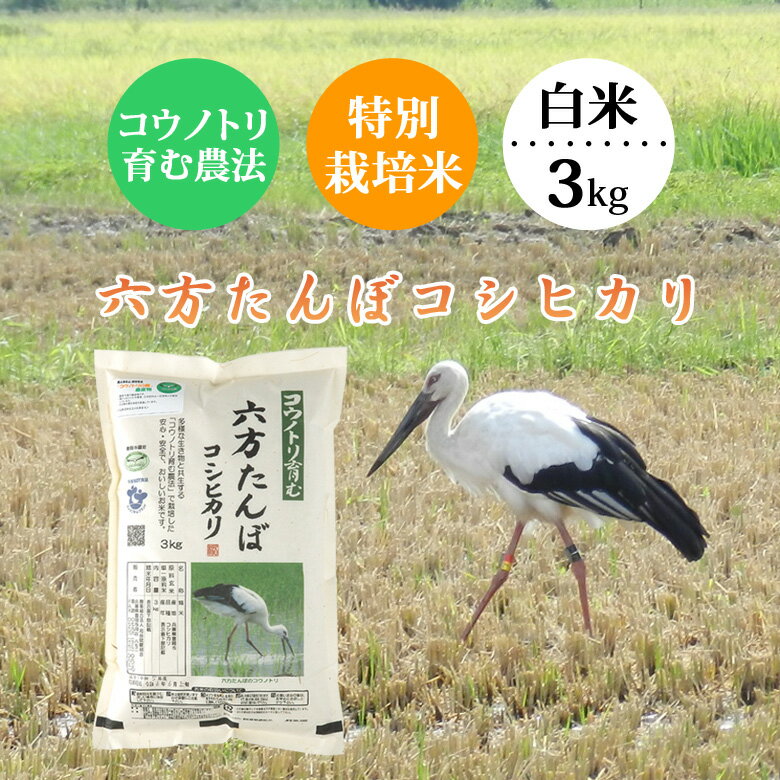 新米 お米 3kg 白米 農家直送 六方たんぼのコシヒカリ コウノトリ育む農法 令和7年産 兵庫県産 送料無料