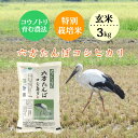 新米 お米 3kg 玄米 農家直送 六方たんぼのコシヒカリ コウノトリ育む農法 令和7年産 兵庫県産 送料無料