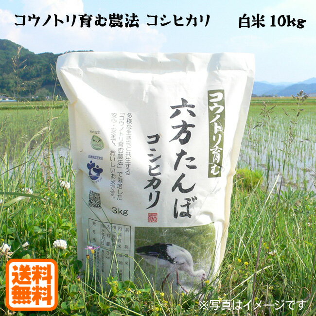 こうのとり米 白米（10kg:5kg×2袋）六方たんぼのコシヒカリ コウノトリ育む農法 令和5年産 兵庫県産 送料無料