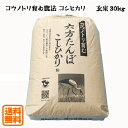 こうのとり米 玄米（30kg）六方たんぼのコシヒカリ コウノトリ育む農法 令和5年産 兵庫県産 送料無料