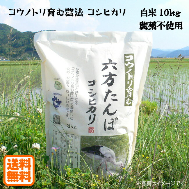 【新米予約可】こうのとり米 白米（10kg:5kg×2袋）農薬不使用 六方たんぼのコシヒカリ コウノトリ育む農法 兵庫県産【送料無料】