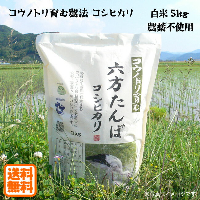 こうのとり米 白米（5kg）農薬不使用 六方たんぼのコシヒカリ コウノトリ育む農法 令和5年産 兵庫県産 送料無料