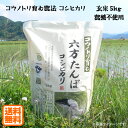 こうのとり米 玄米（5kg）農薬不使用 令和元年産 六方たんぼのコシヒカリ コウノトリ育む農法 兵庫県産【送料無料】