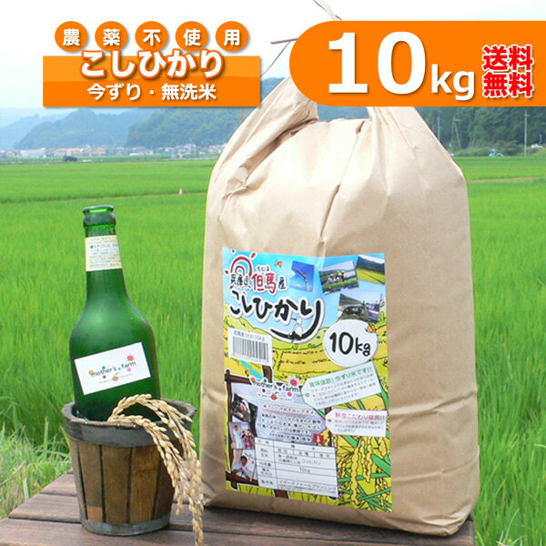 無洗米（10kg）玄米 白米 今ずり米 農薬不使用 コシヒカリ 令和5年産 送料無料