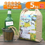 無洗米（5kg）玄米 白米 今ずり米 農薬不使用 コシヒカリ 令和3年産 送料無料