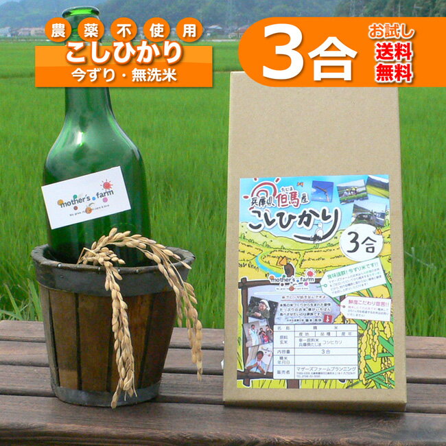 無洗米 お試し（3合）玄米 白米 今ずり米 農薬不使用 コシヒカリ 令和5年産 ポイント消化 送料無料