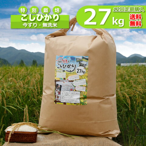 【新米】【定期購入】27kgx12回 玄米 白米 今ずり米 無洗米 減農薬・特別栽培米 コシヒカリ 令和2年産