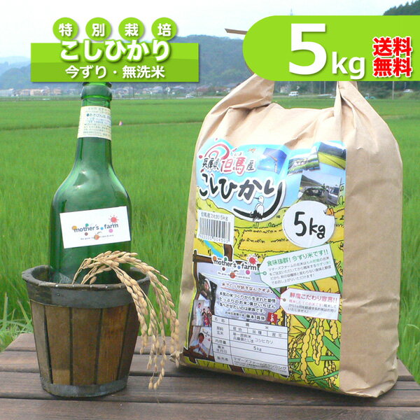 無洗米（5kg）コシヒカリ 白米 今ずり米 特別栽培米 兵庫県 但馬産 令和5年産 送料無料のサムネイル
