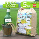 【定期購入】5kgx6回 白米 今ずり米 無洗米 特別栽培米 コシヒカリ 令和5年産 送料無料