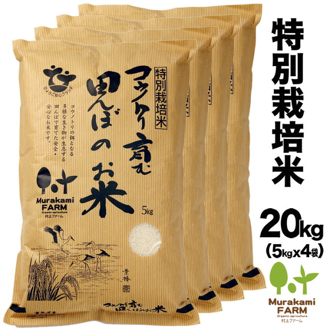 【新米予約可】【送料無料】特別栽培米（20kg）玄米・白米 コウノトリ育む田んぼのお米 令和2年産 兵庫県産 コシヒカリ【ひょうご安心ブランド認定】