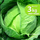 キャベツ 農薬90％カット 特別栽培【3kg】