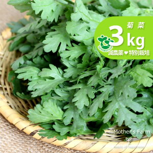 菊菜 春菊 農薬90％カット 特別栽培【3kg】