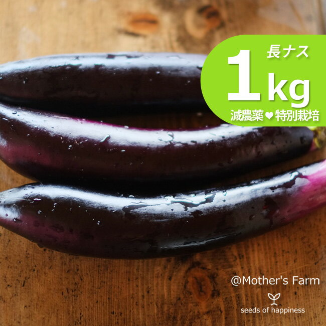 長ナス 長茄子 農薬90％カット 特別栽培【1kg】のサムネイル
