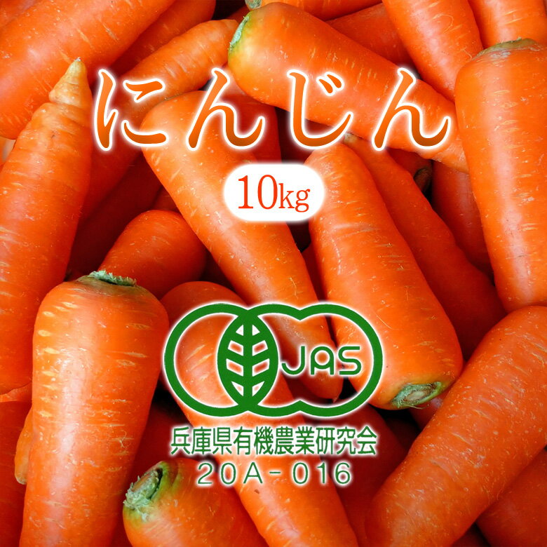 人参 10kg（2Lサイズ以上）有機JAS 雪下にんじん 向陽二号 彩誉 あやほまれ クリスティーヌ オランジェ 冬ちあき 農薬不使用 送料無料