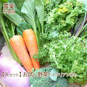 母の日 訳あり 野菜 詰め合わせ お試しセット 農薬不使用 不揃い 送料無料