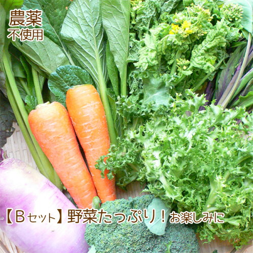 【Bセット】野菜たっぷり！8〜10品。お楽しみに♪訳あり 野菜 詰め合わ...