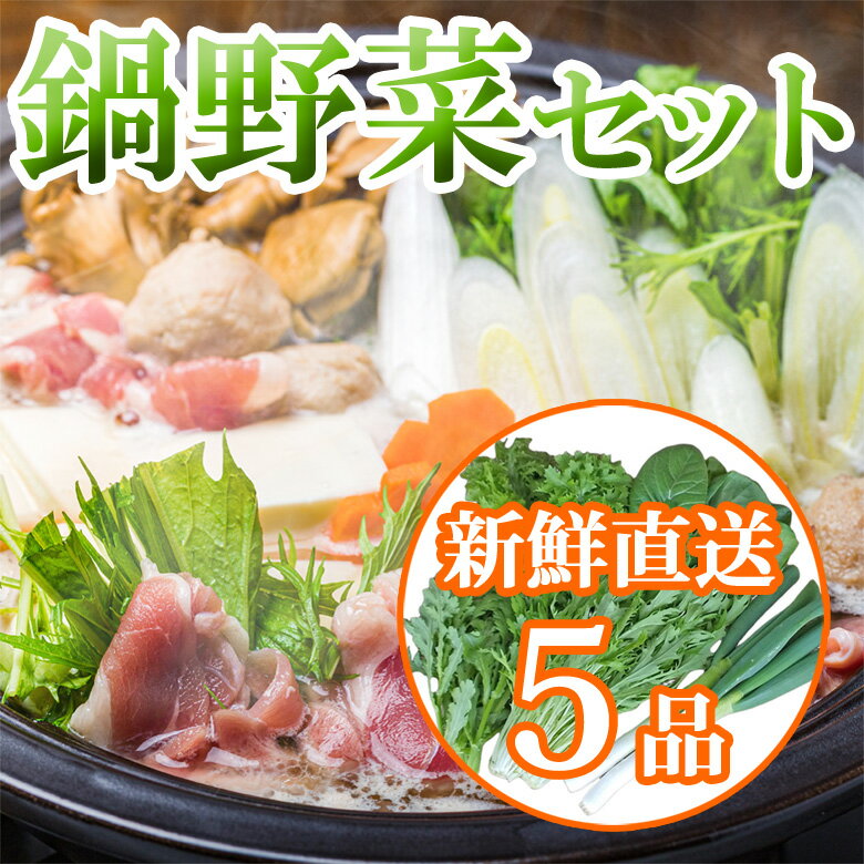 鍋野菜セット 5品 神鍋ねぎ 水菜 わさび菜 春菊 小松菜 すき焼き 寄せ鍋 かに鍋 鴨鍋 有機肥料 送料無料
