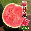 姫甘泉 極甘 2玉 小玉 スイカ すいか 送料無料