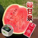 お中元 すいか 姫甘泉 極甘(木箱入り)小玉 スイカ 暑中お見舞い 夏ギフト プレゼント 送料無料