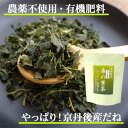 桑の葉茶 お試し 60g お徳用 100g 桑茶 マルベリーティー 農薬不使用 有機肥料 桑の葉茶本舗 きたむら 送料無料