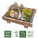 母の日 苔盆栽 ミニ庭園 一軒家SS ギフト 誕生日プレゼント 送料無料