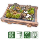 父の日 苔盆栽 ミニ庭園 一軒家SS 送料無料