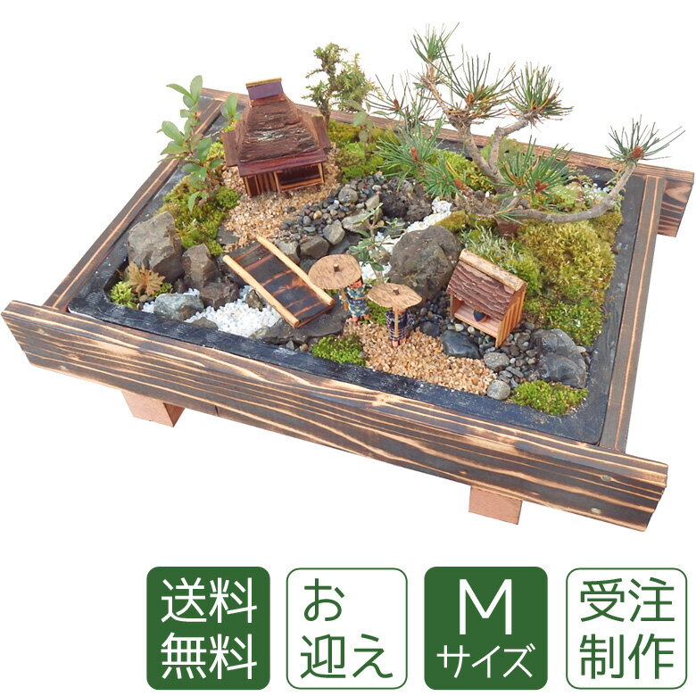 母の日 盆栽 盆景 ミニ庭園 お迎えM 送料無料の商品画像