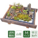 母の日 盆栽 盆景 ミニ庭園 山荘M 送料無料