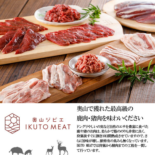 鹿肉 ロース ブロック（1本分）ジビエ料理【500～600g】