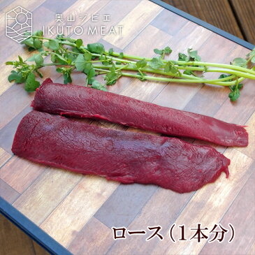 鹿肉 ロース ブロック（1本分）ジビエ料理【500～600g】