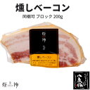 燻製 燻しベーコン(小)ブロック 煙神