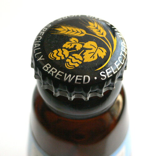 お歳暮 クラフトビール 城崎温泉の地ビール ギフトセット（330ml×40本）業務用 まとめ買い プレゼント 家飲み 贈答 地元直送 鮮度抜群