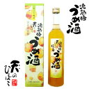 母の日 濃厚にごり梅酒 天のひぼこ 完熟梅うめ酒 500ml