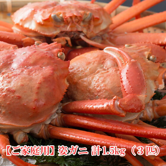  ٥˥磻 ѳ 1.5kg3ɤ˥ܥ ȥ ύ ύ 澾Ź ̵