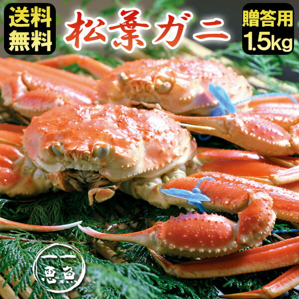 ★価格はお問合せ下さい★送料無料 松葉ガニ 松葉がに 約1.5kg（1〜2杯）ギフト 津居山・柴山・ ...