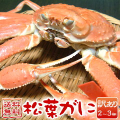 https://thumbnail.image.rakuten.co.jp/@0_mall/arumama/cabinet/shohin/seafood/matuba/ym-ma-23.jpg