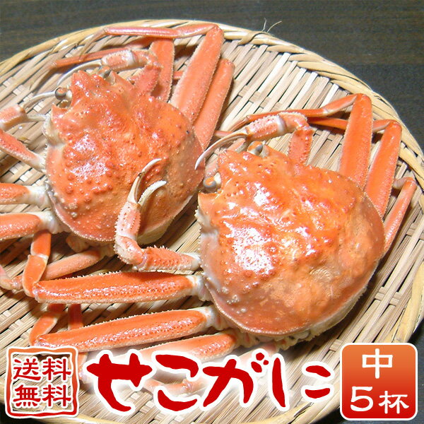 せこがに（中）5杯 セコガニ セコ蟹 せいこがに 親がに 訳あり 兵庫県津居山産・柴山産のサムネイル
