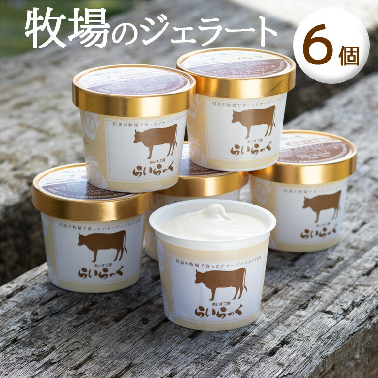 父の日 ジェラート アイスクリーム 6個セット 濃厚ミルク バニラ ラムレーズン 抹茶 黒豆きなこ カマンベールチーズ ギフト 誕生日プレゼント らいらっく 送料無料