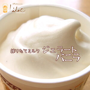 アイスクリーム 濃厚ミルクジェラート（バニラ）