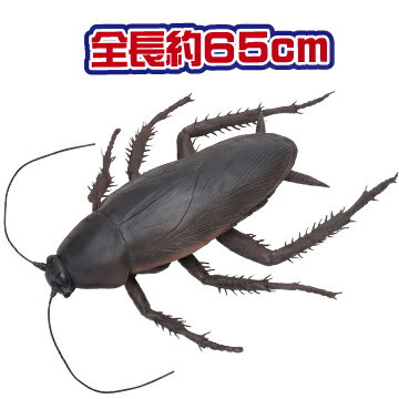 送料無料 メガゴキブリ ごきぶりおもちゃ メガ昆虫 巨大生物標本シリーズ おもしろ雑貨 おもしろグッ ...