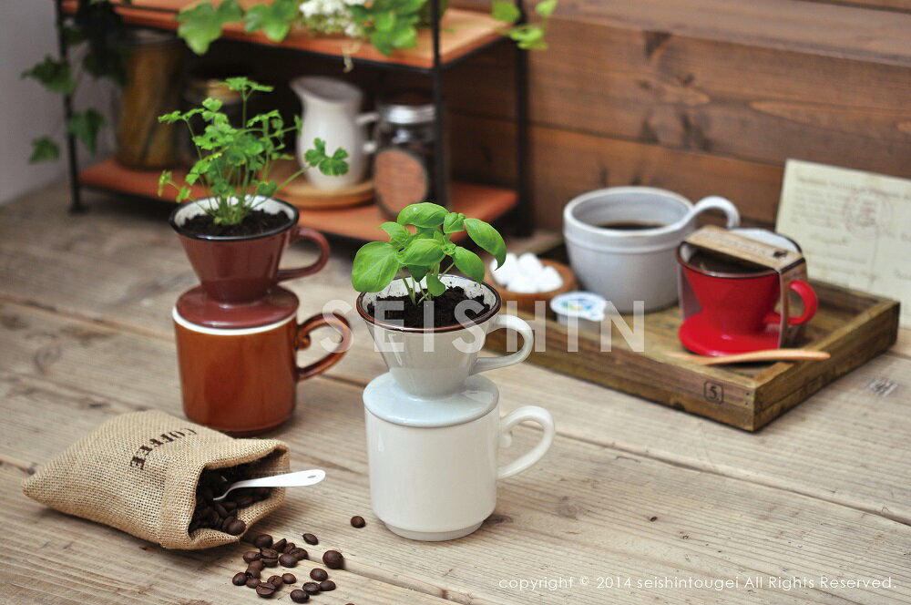 【売り尽くし特価】ガーデニング ヴェルデカフェ ドリッパープラス ドリッパーで育てるハーブ栽培セット 聖新陶芸 ガーデニング 栽培 ギフトのサムネイル