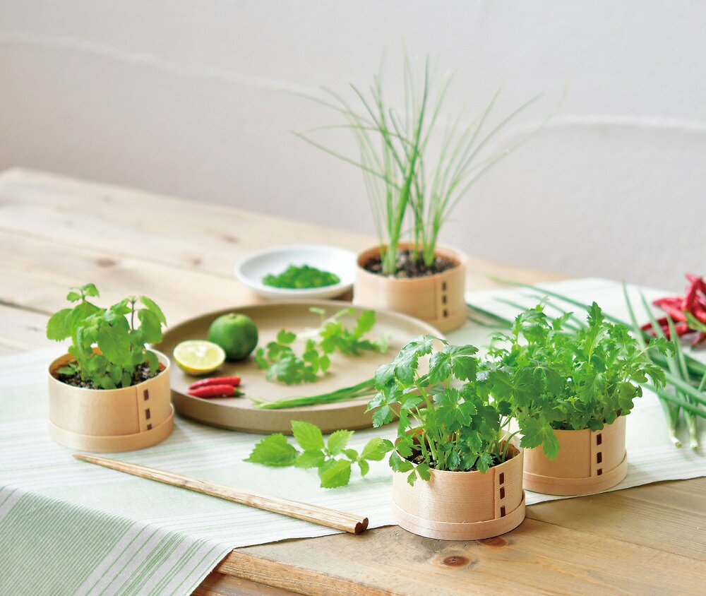 ����ƫ�� GD-95604 WAPPA �¤��պ��ݥ��å� �ߤ��ʡ��������μ���ʤ���äѤǰ�Ƥ���ݥ��å� ���տ�ʪ �����ǥ˥� ����� ����� ���󥹥��Ǥ� �䤷