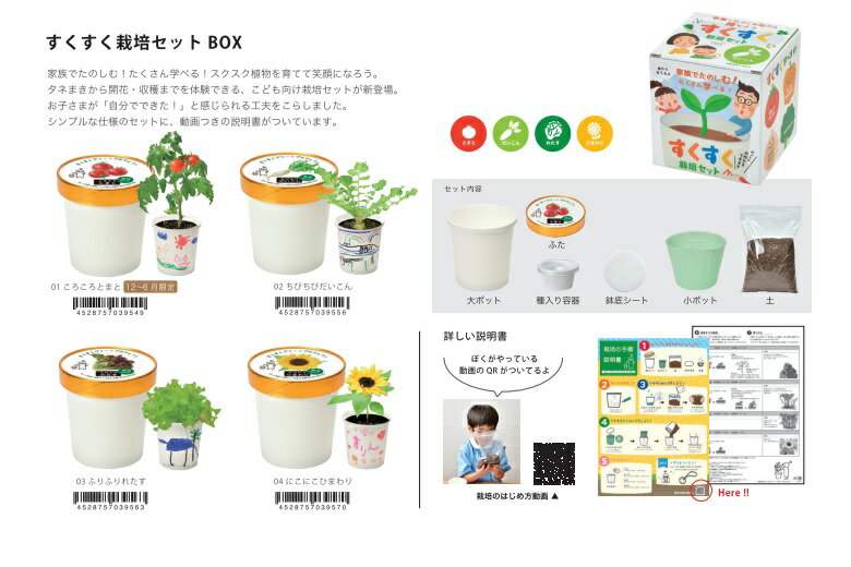 すくすく栽培セット にこにこひまわり　タネまきから収穫までを体験できるこども向け