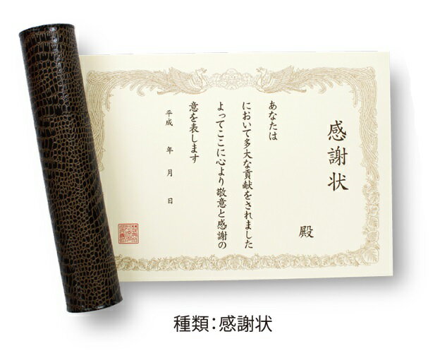 ギフト プレゼント 色紙 よせがき 賞状色紙 感謝状 おもしろ寄せ書き色紙 卒業式 送別会のプレゼント