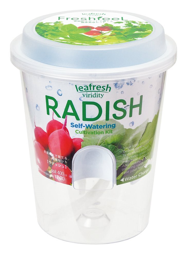 楽天スーパーSALE対象 期間限定 再入荷待ち GD-81901 フレッシュフィール ラディッシュ 観葉植物
