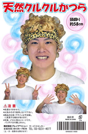 天然クルクルかつら原宿のおうじさまカツラ変装パーティーグッズ仮装衣装芸人タレントなりきり